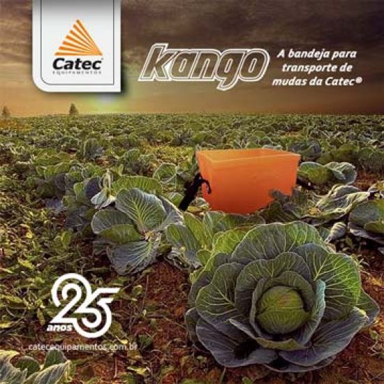 Kango Catec